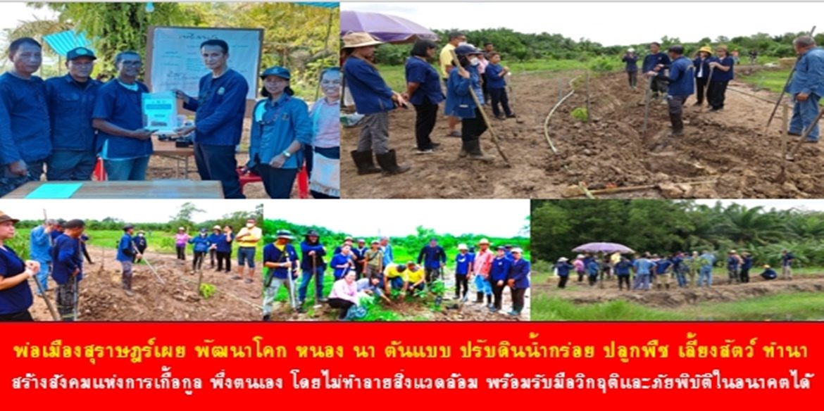 พ่อเมืองสุราษฎร์เผย พัฒนาโคก หนอง นา ต้นแบบ ปรับดินน้ำกร่อย ปลูกพืช เลี้ยงสัตว์ ทำนา สร้างสังคมแห่งการเกื้อกูล พึ่งตนเอง โดยไม่ทำลายสิ่งแวดล้อม พร้อมรับมือวิกฤติและภัยพิบัติในอนาคตได้