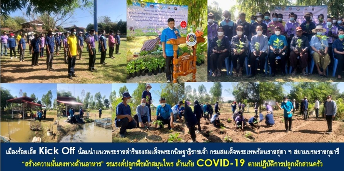 เมืองร้อยเอ็ด Kick Off น้อมนำแนวพระราชดำริของสมเด็จพระกนิษฐาธิราชเจ้า กรมสมเด็จพระเทพรัตนราชสุดา ฯ สยามบรมราชกุมารี “สร้างความมั่นคงทางด้านอาหาร” รณรงค์ปลูกพืชผักสมุนไพร ต้านภัย COVID-19 ตามปฏิบัติการปลูกผักสวนครัว รอบ 2 อย่างต่อเนื่อง สร้างประโยชน์สูงสุดให้กับพี่น้องประชาชน