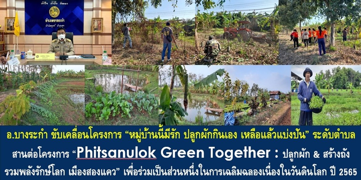 อำเภอบางระกำ ขับเคลื่อนโครงการ “หมู่บ้านนี้มีรัก ปลูกผักกินเอง เหลือแล้วแบ่งปัน” ระดับตำบล สานต่อโครงการ “Phitsanulok Green Together : ปลูกผัก & สร้างถัง รวมพลังรักษ์โลก เมืองสองแคว” เพื่อร่วมเป็นส่วนหนึ่งในการเฉลิมฉลองเนื่องในวันดินโลก ปี 2565 (World Soil Day 2022) “ดินดี อาหารดี สุขภาพดี ชีวีมีสุข : Great Food from Good Soil”