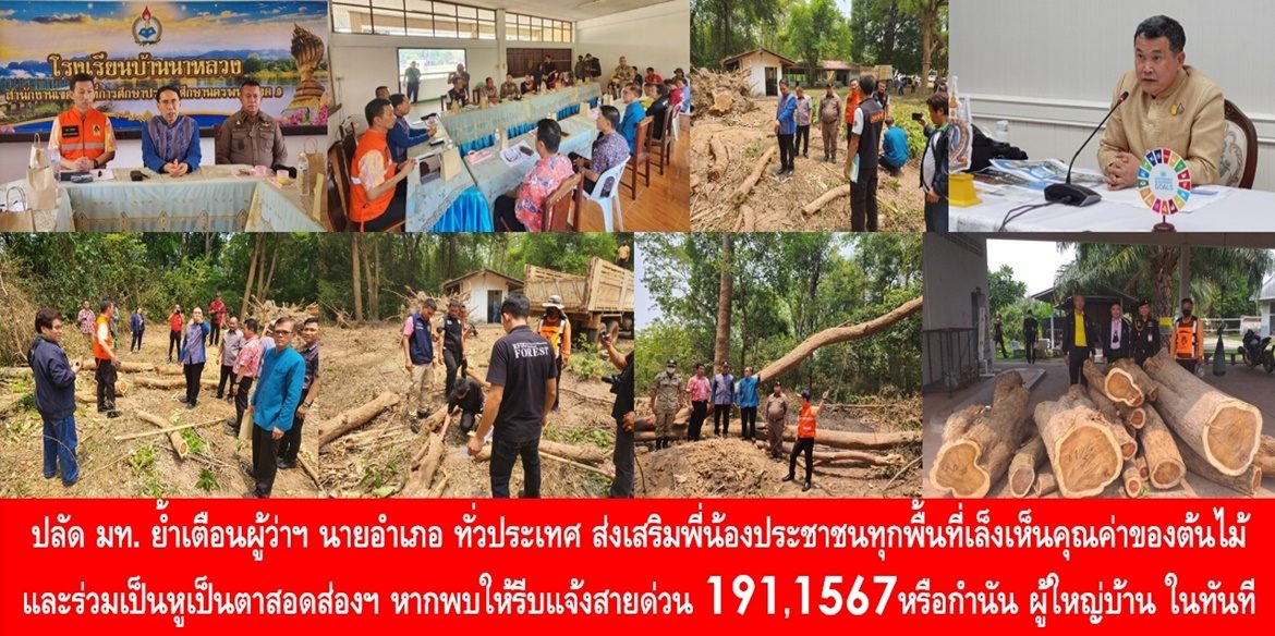 ปลัด มท. ย้ำเตือนผู้ว่าฯ นายอำเภอ ทั่วประเทศ ส่งเสริมพี่น้องประชาชนทุกพื้นที่เล็งเห็นคุณค่าของต้นไม้ และร่วมเป็นหูเป็นตาสอดส่องผู้ลักลอบตัดต้นไม้โดยไม่ได้รับอนุญาต หากพบพฤติการณ์ผิดสังเกต ให้รีบแจ้งสายด่วน 191, 1567 หรือกำนัน ผู้ใหญ่บ้าน ในทันที