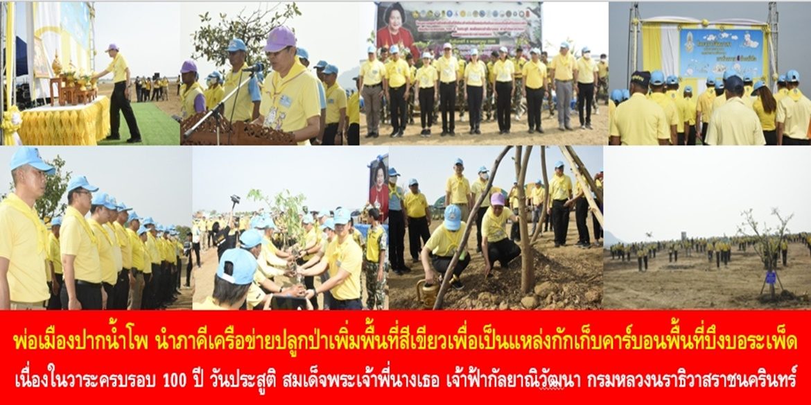 พ่อเมืองปากน้ำโพ นำภาคีเครือข่ายปลูกป่าเพิ่มพื้นที่สีเขียวเพื่อเป็นแหล่งกักเก็บคาร์บอนพื้นที่บึงบอระเพ็ด เนื่องในวาระครบรอบ 100 ปี วันประสูติ สมเด็จพระเจ้าพี่นางเธอ เจ้าฟ้ากัลยาณิวัฒนา กรมหลวงนราธิวาสราชนครินทร์ ด้วยความสำนึกในพระกรุณาธิคุณ