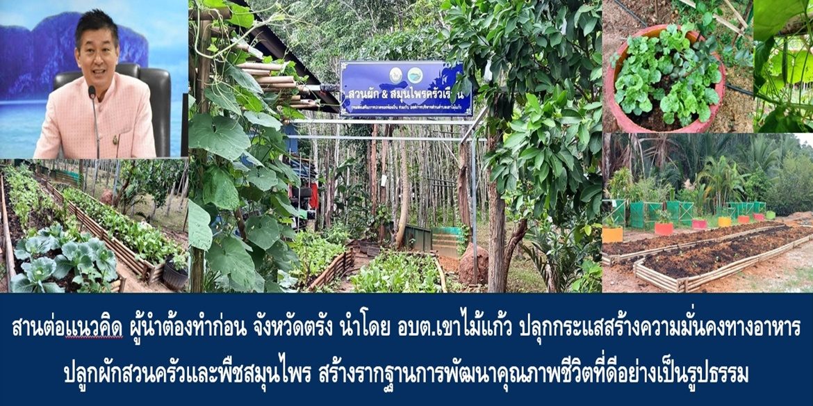สานต่อเเนวคิด ผู้นำต้องทำก่อน จังหวัดตรัง นำโดย อบต.เขาไม้แก้ว ปลุกกระแสสร้างความมั่นคงทางอาหาร ร่วมกับประชาชน และส่วนราชการในพื้นที่ ปลูกผักสวนครัวและพืชสมุนไพร สร้างรากฐานการพัฒนาคุณภาพชีวิตที่ดีอย่างเป็นรูปธรรม