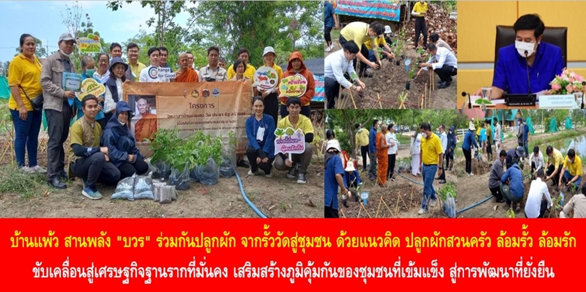 บ้านแพ้ว สานพลัง “บวร” ร่วมกันปลูกผัก จากรั้ววัดสู่ชุมชน ด้วยแนวคิด “ปลูกผักสวนครัว ล้อมรั้ว ล้อมรัก ขับเคลื่อนสู่เศรษฐกิจฐานรากที่มั่นคง เสริมสร้างภูมิคุ้มกันของชุมชนที่เข้มแข็ง สู่การพัฒนาที่ยั่งยืน ด้วยหลักปรัชญาของเศรษฐกิจพอเพียง”