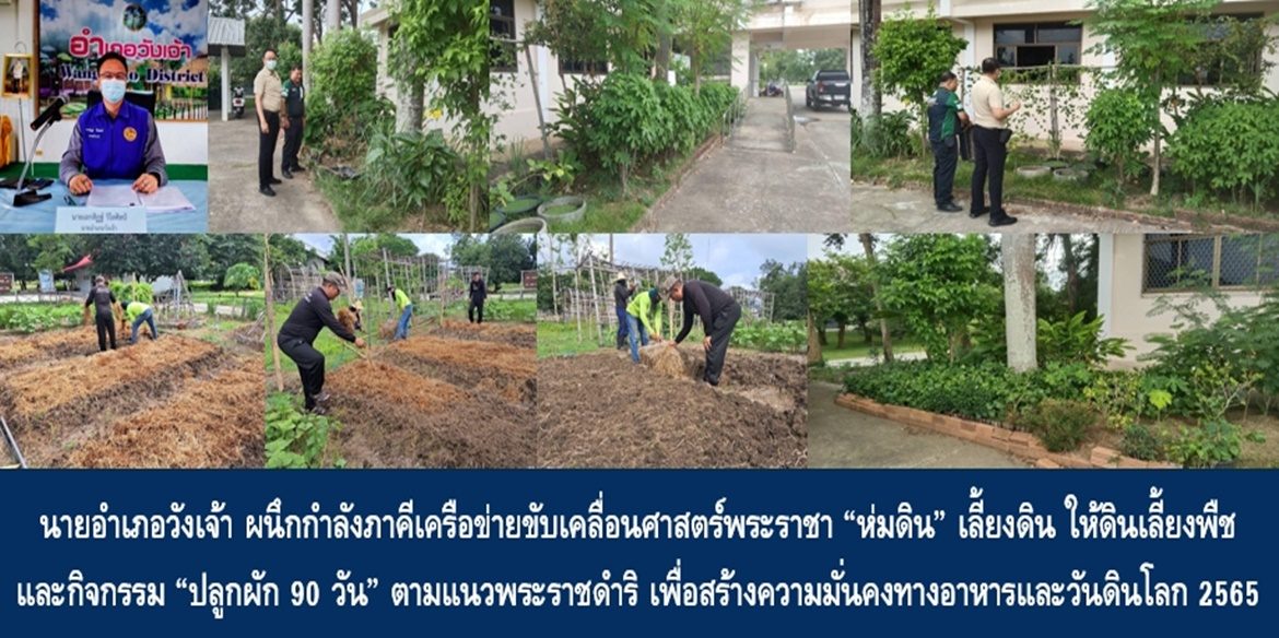 นายอำเภอวังเจ้า ผนึกกำลังภาคีเครือข่ายขับเคลื่อนศาสตร์พระราชา “ห่มดิน” เลี้ยงดิน ให้ดินเลี้ยงพืช และกิจกรรม“ปลูกผัก 90 วัน” ตามแนวพระราชดำริ เพื่อสร้างความมั่นคงทางอาหารและรณรงค์เนื่องในกิจกรรมวันดินโลก 2565 (World Soil Day 2022)