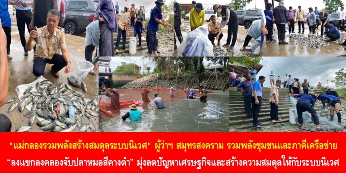 “แม่กลองรวมพลังสร้างสมดุลระบบนิเวศ” ผู้ว่าฯ สมุทรสงคราม รวมพลังชุมชนและภาคีเครือข่าย “ลงแขกลงคลองจับปลาหมอสีคางดำ” มุ่งลดปัญหาเศรษฐกิจและสร้างความสมดุลให้กับระบบนิเวศ