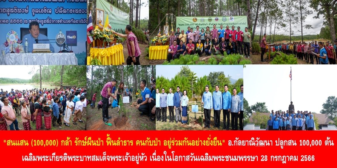 “สนแสน (100,000) กล้า รักษ์ผืนป่า ฟื้นลำธาร คนกับป่า อยู่ร่วมกันอย่างยั่งยืน” อ.กัลยาณิวัฒนา ปลูกสน 100,000 ต้น เฉลิมพระเกียรติพระบาทสมเด็จพระเจ้าอยู่หัวเนื่องในโอกาสวันเฉลิมพระชนมพรรษา 28 กรกฎาคม 2566
