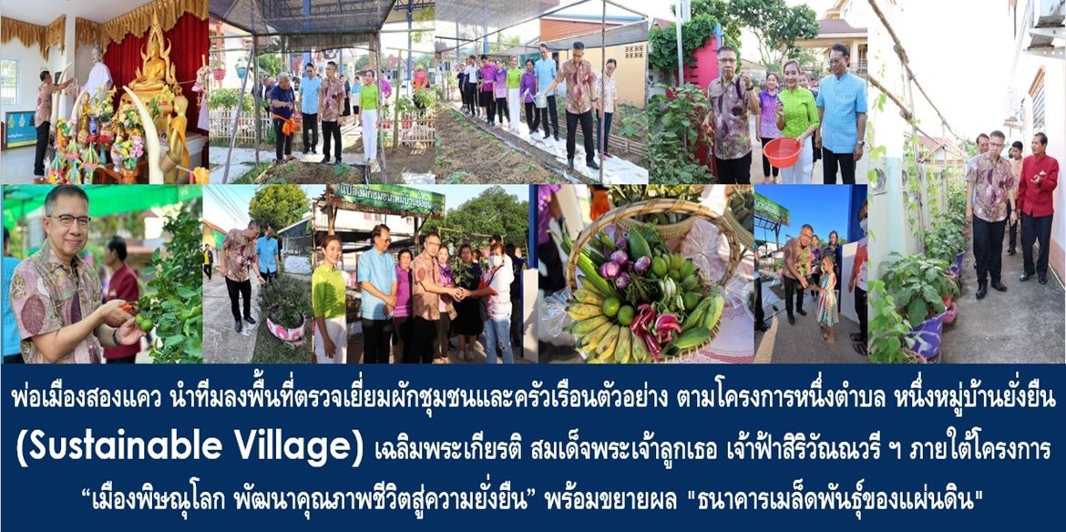 พ่อเมืองสองแคว นำทีมลงพื้นที่ตรวจเยี่ยมผักชุมชนและครัวเรือนตัวอย่าง ตามโครงการหนึ่งตำบล หนึ่งหมู่บ้านยั่งยืน (Sustainable Village) เฉลิมพระเกียรติ สมเด็จพระเจ้าลูกเธอ เจ้าฟ้าสิริวัณณวรี นารีรัตนราชกัญญา ภายใต้โครงการ “เมืองพิษณุโลก พัฒนาคุณภาพชีวิตสู่ความยั่งยืน” พร้อมขยายผล “ธนาคารเมล็ดพันธุ์ของแผ่นดิน” เพื่อหนุนเสริมการใช้ชีวิตแบบพึ่งพาตนเองสู่ประชาชนทุกครัวเรือน