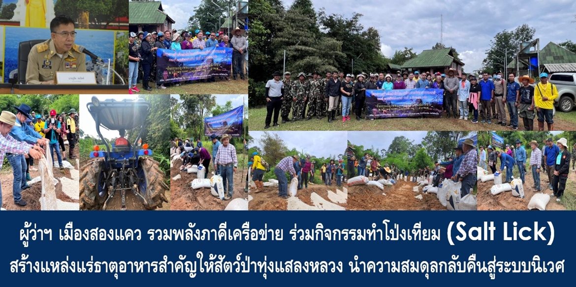 ผู้ว่าฯ เมืองสองแคว รวมพลังภาคีเครือข่าย ร่วมกิจกรรมทำโป่งเทียม (Salt Lick) สร้างแหล่งแร่ธาตุอาหารสำคัญให้สัตว์ป่าทุ่งแสลงหลวง นำความสมดุลกลับคืนสู่ระบบนิเวศ สอดรับเป้าหมายการพัฒนาที่ยั่งยืน