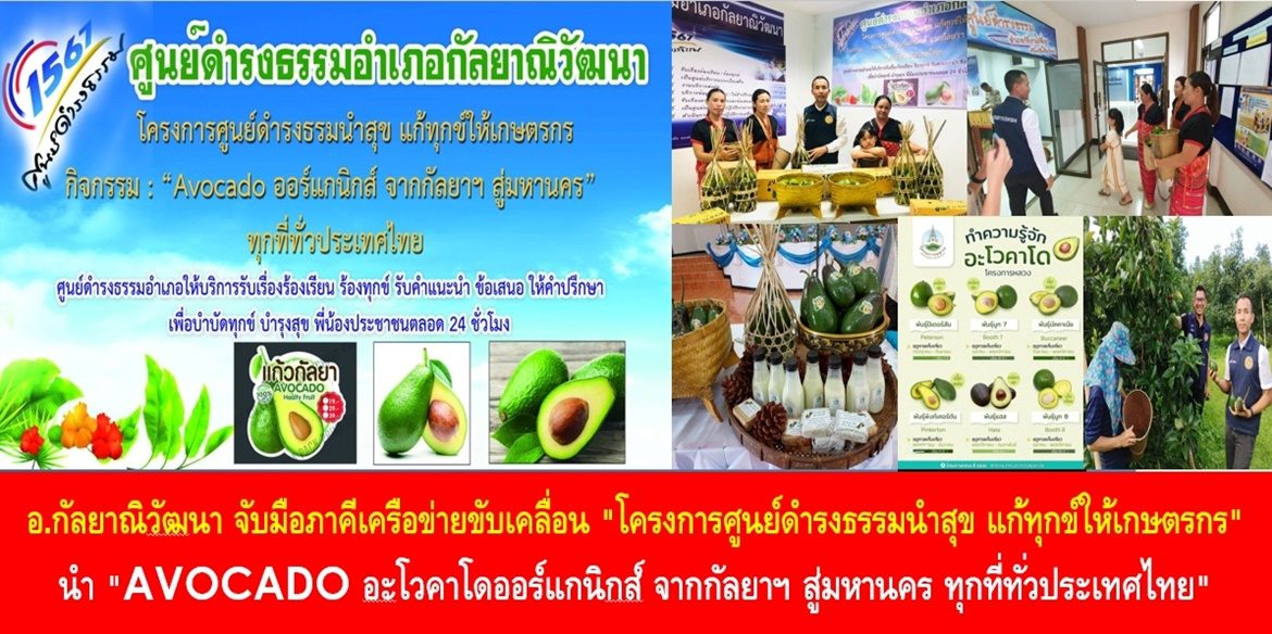 อำเภอกัลยาณิวัฒนา จับมือภาคีเครือข่ายขับเคลื่อน “โครงการศูนย์ดำรงธรรมนำสุข แก้ทุกข์ให้เกษตรกร” นำ “AVOCADO อะโวคาโดออร์แกนิกส์ จากกัลยาฯ สู่มหานคร ทุกที่ทั่วประเทศไทย” มุ่งเน้นการสร้างรายได้ในภาคการเกษตร เพิ่มช่องทางการจำหน่ายผลผลิต สู่เป้าหมาย บำบัดทุกข์ บำรุงสุข และทำให้ประชาชนมีความสุขอย่างยั่งยืน