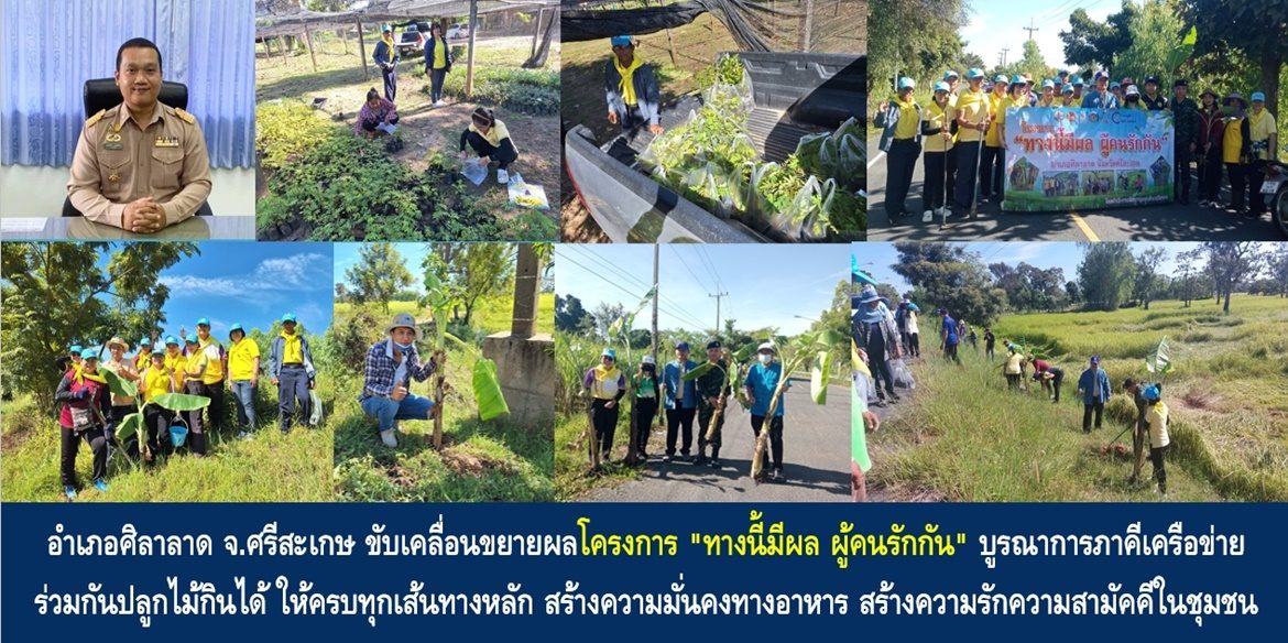 อำเภอศิลาลาด ขับเคลื่อนขยายผลโครงการ “ทางนี้มีผล ผู้คนรักกัน” บูรณาการภาคีเครือข่าย ร่วมกันปลูกไม้กินได้ ให้ครบทุกเส้นทางหลัก สร้างความมั่นคงทางอาหาร สร้างความรักความสามัคคีในชุมชน