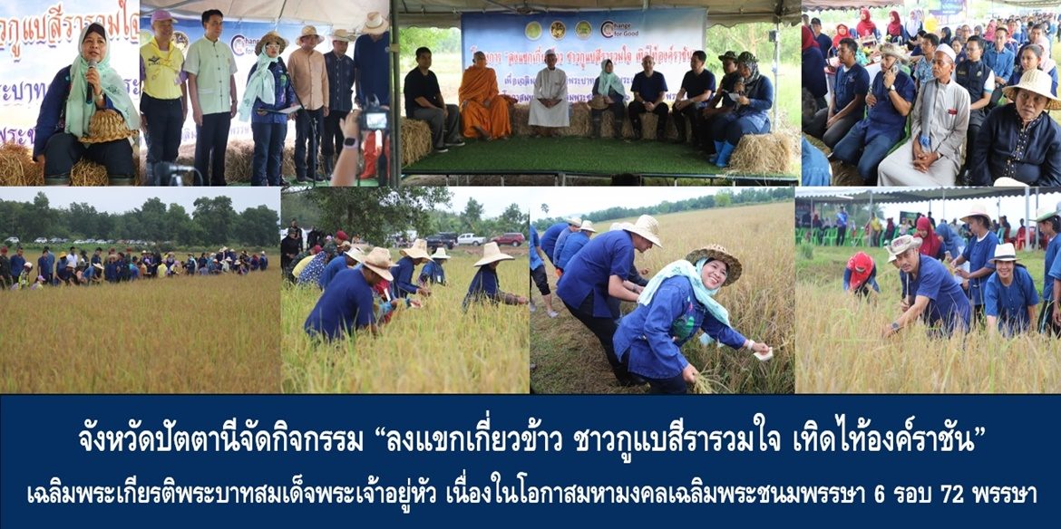 จังหวัดปัตตานีจัดกิจกรรม “ลงแขกเกี่ยวข้าว ชาวกูแบสีรารวมใจ เทิดไท้องค์ราชัน” เฉลิมพระเกียรติพระบาทสมเด็จพระเจ้าอยู่หัว เนื่องในโอกาสมหามงคลเฉลิมพระชนมพรรษา 6 รอบ 72 พรรษา เพื่อพัฒนาคุณภาพชีวิต ส่งเสริมอาชีพ ลดต้นทุนการผลิต เพิ่มรายได้ให้เกษตรกรมีชีวิตที่ดีขึ้นอย่างยั่งยืน