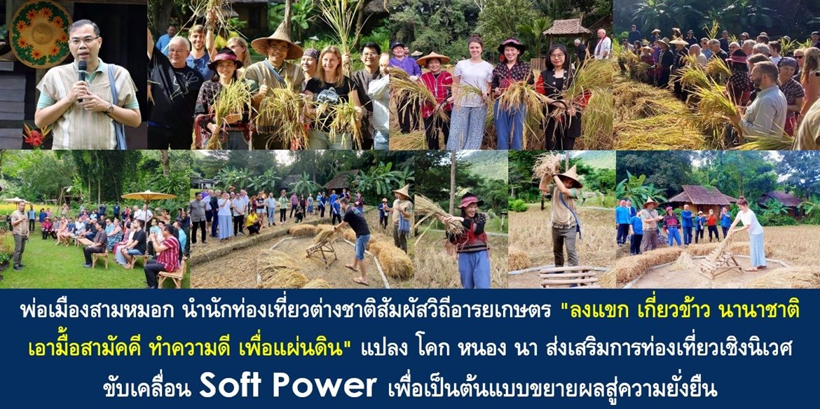 พ่อเมืองสามหมอก นำนักท่องเที่ยวต่างชาติสัมผัสวิถีอารยเกษตร “ลงแขก เกี่ยวข้าว นานาชาติ เอามื้อสามัคคี ทำความดี เพื่อแผ่นดิน” แปลง โคก หนอง นา ส่งเสริมการท่องเที่ยวเชิงนิเวศ ขับเคลื่อน Soft Power เพื่อเป็นต้นแบบขยายผลสู่ความยั่งยืน