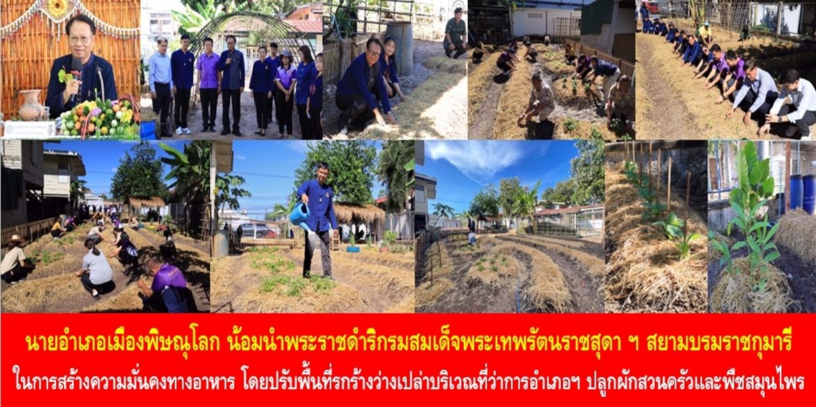 นายอำเภอเมืองพิษณุโลก น้อมนำพระราชดำริกรมสมเด็จพระเทพรัตนราชสุดา ฯ สยามบรมราชกุมารี ในการสร้างความมั่นคงทางอาหาร โดยปรับพื้นที่รกร้างว่างเปล่าบริเวณที่ว่าการอำเภอเมืองพิษณุโลก ปลูกผักสวนครัวและพืชสมุนไพรเป็นคลังอาหารที่มั่นคงของอำเภอ