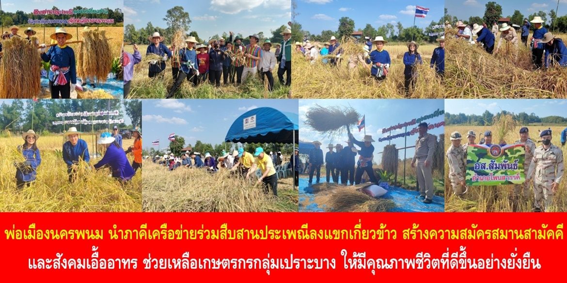 พ่อเมืองนครพนม นำภาคีเครือข่ายร่วมสืบสานประเพณีลงแขกเกี่ยวข้าว สร้างความสมัครสมานสามัคคีและสังคมเอื้ออาทร ช่วยเหลือเกษตรกรกลุ่มเปราะบาง ให้มีคุณภาพชีวิตที่ดีขึ้นอย่างยั่งยืน