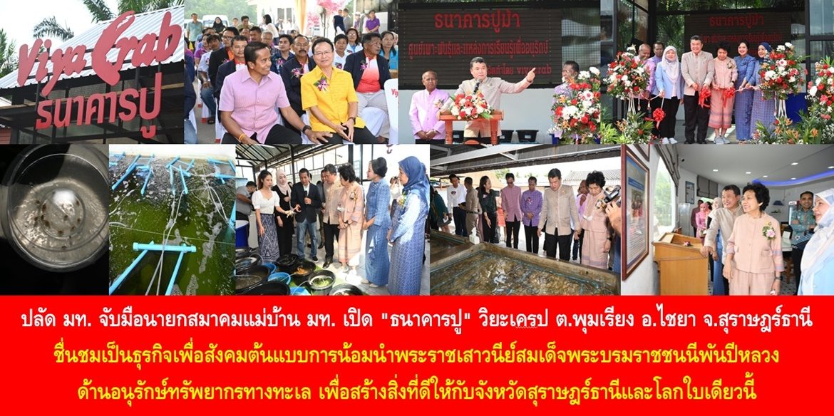ปลัด มท. จับมือนายกสมาคมแม่บ้าน มท. เปิด “ธนาคารปู” วิยะเครป ตำบลพุมเรียง อ.ไชยา จ.สุราษฎร์ธานี ชื่นชมเป็นธุรกิจเพื่อสังคมต้นแบบการน้อมนำพระราชเสาวนีย์สมเด็จพระบรมราชชนนีพันปีหลวง ด้านอนุรักษ์ทรัพยากรทางทะเล เพื่อสร้างสิ่งที่ดีให้กับจังหวัดสุราษฎร์ธานีและโลกใบเดียวนี้