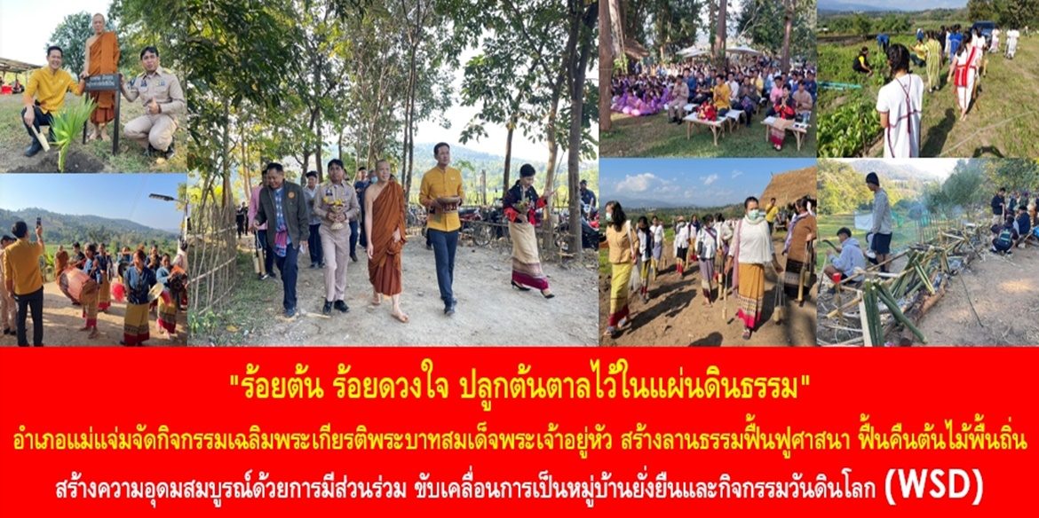 “ร้อยต้น ร้อยดวงใจ ปลูกต้นตาลไว้ในแผ่นดินธรรม” อำเภอแม่แจ่มจัดกิจกรรมเฉลิมพระเกียรติพระบาทสมเด็จพระเจ้าอยู่หัว สร้างลานธรรมฟื้นฟูศาสนา ฟื้นคืนต้นไม้พื้นถิ่น สร้างความอุดมสมบูรณ์ด้วยการมีส่วนร่วม ขับเคลื่อนการเป็นหมู่บ้านยั่งยืนและกิจกรรมวันดินโลก (WSD)