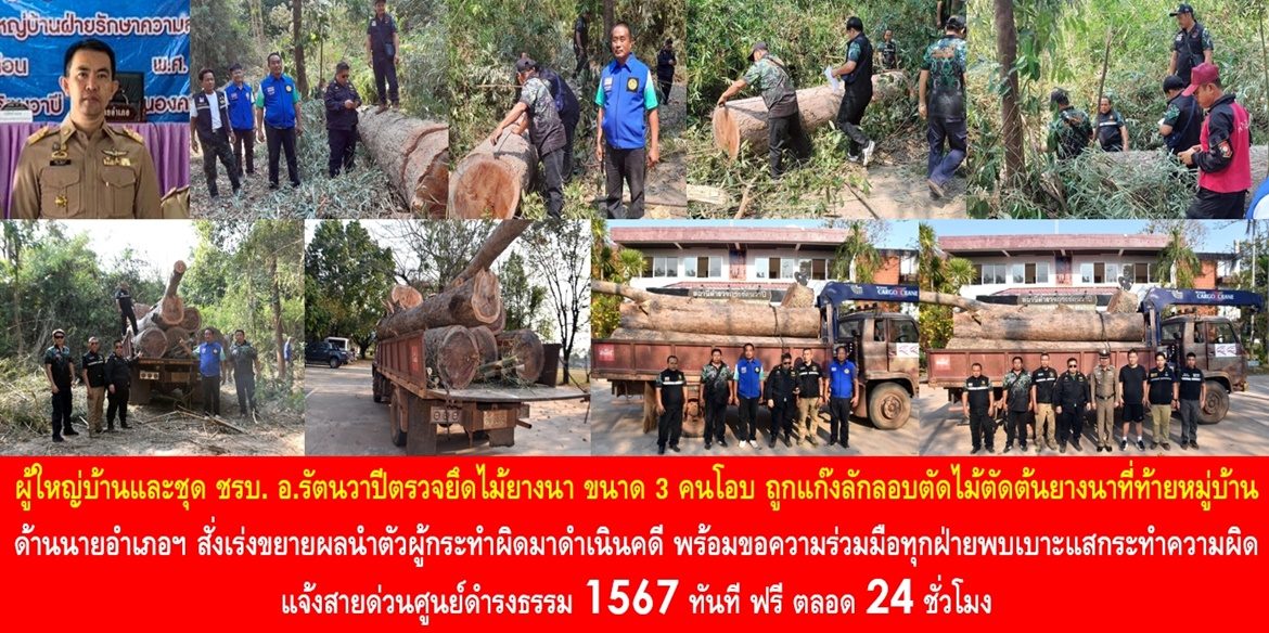 ผู้ใหญ่บ้านและชุด ชรบ. อำเภอรัตนวาปีตรวจยึดไม้ยางนา ขนาด 3 คนโอบ ถูกแก๊งลักลอบตัดไม้ตัดต้นยางนาที่ท้ายหมู่บ้าน ด้านนายอำเภอฯ สั่งเร่งขยายผลนำตัวผู้กระทำผิดมาดำเนินคดี พร้อมขอความร่วมมือทุกฝ่ายพบเบาะแสกระทำความผิด แจ้งสายด่วนศูนย์ดำรงธรรม 1567 ทันที