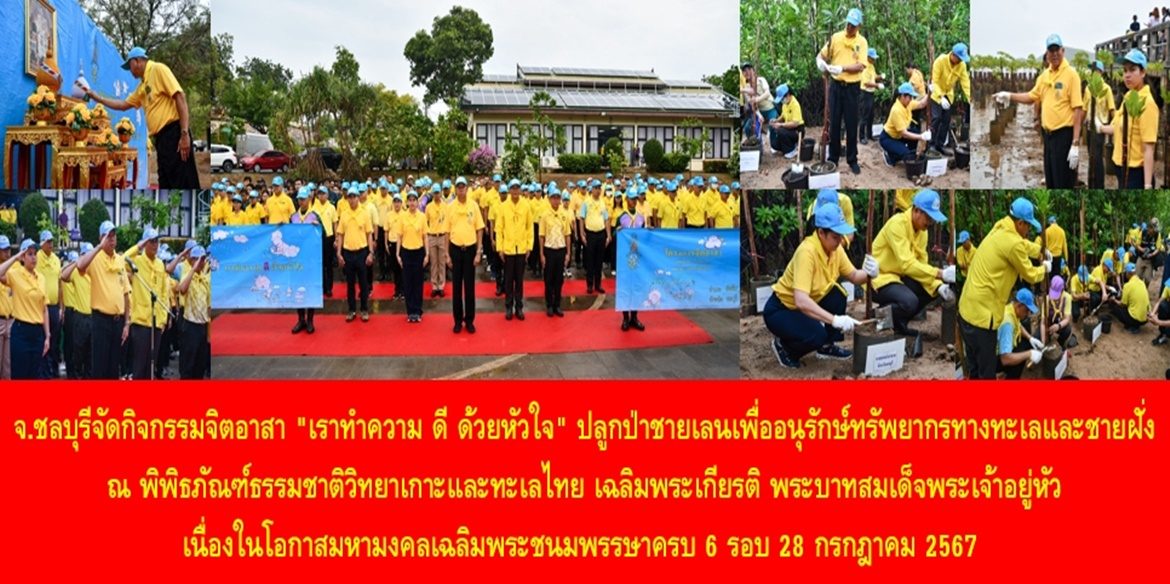 จังหวัดชลบุรีจัดกิจกรรมจิตอาสา “เราทำความ ดี ด้วยหัวใจ” ปลูกป่าชายเลนเพื่ออนุรักษ์ทรัพยากรทางทะเลและชายฝั่ง ณ พิพิธภัณฑ์ธรรมชาติวิทยาเกาะและทะเลไทย เฉลิมพระเกียรติในหลวง เนื่องในโอกาสมหามงคลเฉลิมพระชนมพรรษาครบ 6 รอบ 28 กรกฎาคม 2567 