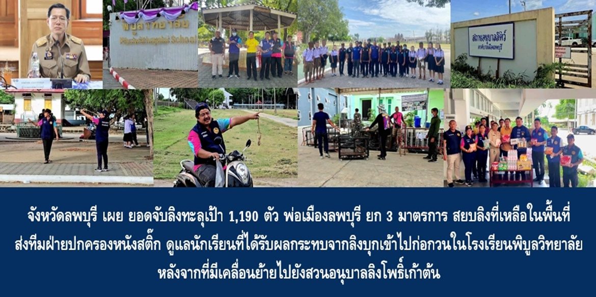 จังหวัดลพบุรีเผยยอดจับลิงทะลุเป้า 1,190 ตัว ด้านพ่อเมืองลพบุรี ยก 3 มาตรการสยบลิงที่เหลือในพื้นที่ ส่งทีมฝ่ายปกครองหนังสติ๊ก ดูแลนักเรียนที่ได้รับผลกระทบจากลิงบุกเข้าไปก่อกวนในโรงเรียนพิบูลวิทยาลัย หลังจากที่มีเคลื่อนย้ายไปยังสวนอนุบาลลิงโพธิ์เก้าต้น