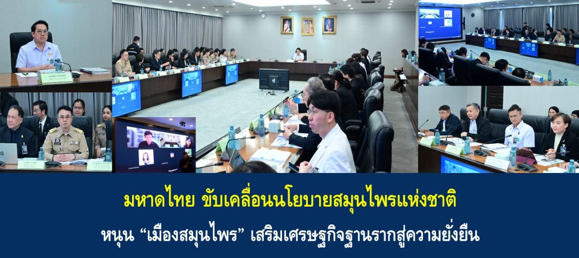 มหาดไทยขับเคลื่อนนโยบายสมุนไพรแห่งชาติ หนุน “เมืองสมุนไพร” เสริมเศรษฐกิจฐานรากสู่ความยั่งยืน